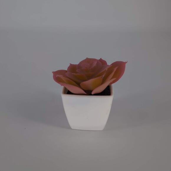 Mini Fake Faux Artificial Pink Succulent Potted Plant in Plastic White Pot - GUC - Picture 4 of 10